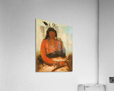 Háh-Nee The Beaver a Warrior 1834 Acrylic Print