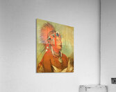 Jee-Hé-O-Hó-Shah Cannot Be Thrown Down a Warrior 1832 Acrylic Print