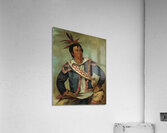 Há-Tchoo-Túc-Knee Snapping Turtle a Half-Breed 1834 Acrylic Print