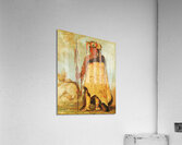 La-Wée-Re-Coo-Re-Shaw-Wee War Chief a Republican Pawnee 1832 Acrylic Print