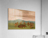 Medicine Buffalo of The Sioux 1837-1839 Acrylic Print