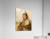 Ni-A-Có-Mo Fix With The Foot a Brave 1830 Acrylic Print