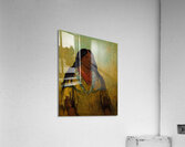 Tchow-Ee-Pút-O-Kaw a Woman 1834 Acrylic Print