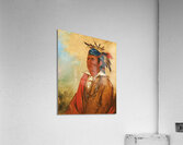 Wah-Pón-Jee-A The Swan a Warrior 1830 Acrylic Print