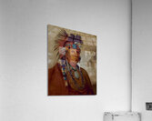 Shó-Me-Kós-See The Wolf a Chief 1832 Acrylic Print