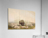 Buffalo Hunt White Wolves Attacking A Buffalo Bull 1844 Acrylic Print