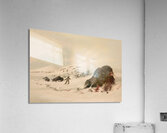 Buffalo Bull in Snow Drift 1844 Acrylic Print