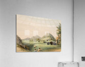 Buffalo Hunt Approaching in a Ravine 1844 Acrylic Print