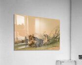 Attacking the Grizzly Bear 1844 Acrylic Print