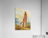 Won-De-Tów-A The Wonder 1835 Acrylic Print