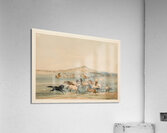 Wild Horses at Play 1844 Acrylic Print