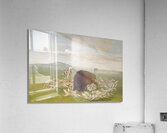 White Wolves Attacking a Buffalo Bull 1832-1833 Acrylic Print