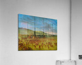 Ball-play of the Choctaw–Ball Up Acrylic Print