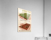 Plan and Grow for Winter – Summer Glut Leaves Winter Short – Take Warning Now and Don’t Get Caught Acrylic Print