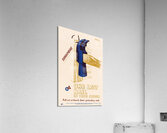 Blood Poison – One Less Nail in Your Coffin  Acrylic Print