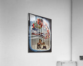 Germany and Japan Behind Bars Acrylic Print