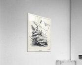 Drakes  Acrylic Print