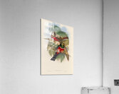 John Gould trogons 005 Acrylic Print