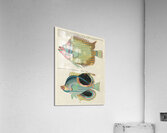Colourful and surreal illustrations of fishes found in Moluccas Indonesia and the East Indies by Louis Renard 1678 -1746 from Histoire naturelle des plus rares curiositez de la mer des Indes 1754. Acrylic Print