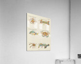 Colourful and surreal illustrations of crabs and lobster found in Moluccas Indonesia and the East Indies by Louis Renard 1678 -1746 from Histoire naturelle des plus rares curiositez de la mer des Indes 1754. Acrylic Print