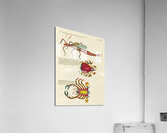 Colourful and surreal illustrations of fishes and crabs found in Moluccas Indonesia and the East Indies by Louis Renard 1678 -1746 from Histoire naturelle des plus rares curiositez de la mer des Indes 1754. Acrylic Print
