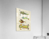 Colourful and surreal illustrations of fishes and other marine life found in Moluccas Indonesia and the East Indies by Louis Renard 1678 -1746 from Histoire naturelle des plus rares curiositez de la mer des Indes 1754. Acrylic Print