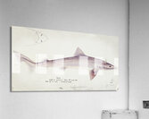 Antique fish myxus elongatus sand mullet South Pacific Fishes by Frank Edward Clarke 1849-1899.  Impression acrylique