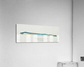 Antique fish geotria australis fresh water lamprey South Pacific Fishes by Frank Edward Clarke 1849-1899.  Acrylic Print