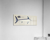 Antique Sword fish South Pacific Fishes by Frank Edward Clarke 1849-1899.  Acrylic Print