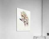 Fairy Martin Collocalia Ariel illustrated by Elizabeth Gould 1804–1841 for John Gould’s 1804-1881 Birds of Australia  Acrylic Print