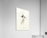 Red-rumped Acanthiza Acanthiza pyrrhopygia illustrated by Elizabeth Gould 1804–1841 for John Gould’s 1804-1881 Birds of Australia  Acrylic Print