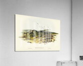 Ground Parakeet Pezoporus formosus illustrated by Elizabeth Gould 1804–1841 for John Gould’s 1804-1881 Birds of Australia  Acrylic Print