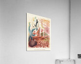 Great Barrier Reef Echinoderms from The Great Barrier Reef of Australia 1893 by William Saville-Kent 1845-1908. Fig 1: Isis HippurisFig 2: Queensland black coral Antipathes abiesFig 3: Ctenocella PectinataFig 4: Gorgonia AustraliensisFig 5: Melitodes Acrylic Print