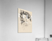 Vin Mariani Poster by Jules Chéret Acrylic Print