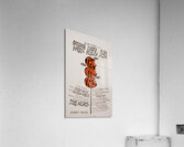 The apple tree 1966 Artcraft Lithograph Poster 1905–1970 Impression acrylique