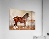 Clydesdale Stallion Prince of Albion Frank Babbage English 1858–1916 Acrylic Print