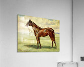 Minoru John Hanson Walker Jr. English 1844-1933 Acrylic Print