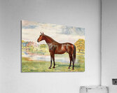 Persimmon Acrylic Print