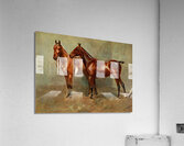 Polo Ponies Romany And Tith Owned By Sir J. Barker Frederic Whiting English 1874–1962 Acrylic Print