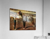 Mr. Butler’s Hackney Stallion Kirkburn Toreador Frederic Whiting English 1874–1962 Acrylic Print