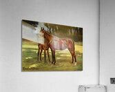 Perdita With Persimmon John Hanson Walker Jr. English 1844-1933 Acrylic Print