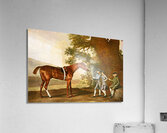 Eclipse George Stubbs English 1724-1806 Acrylic Print