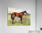 Spearmint Acrylic Print