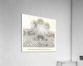 Modern Mexican designs. 1888 edition Lornement Polychrome by Albert Racine 1825–1893. Acrylic Print