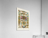 Renaissance pattern. 1888 edition Lornement Polychrome by Albert Racine 1825–1893. Acrylic Print