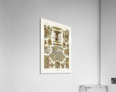 16th Century pattern. 1888 edition Lornement Polychrome by Albert Racine 1825–1893. Acrylic Print