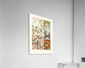 19th Century pattern Lornement Polychrome 1888 by Albert Racinet 1825&ndash1893. 1888 edition. Acrylic Print