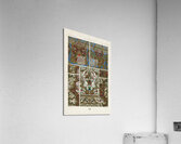 17th and 18th Century pattern. 1888 edition Lornement Polychrome by Albert Racine 1825–1893. Acrylic Print