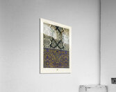 17th Century pattern. 1888 edition Lornement Polychrome by Albert Racine 1825–1893. Acrylic Print