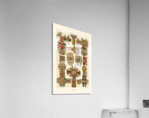 Middle-Ages pattern. 1888 edition Lornement Polychrome by Albert Racine 1825–1893. Acrylic Print
